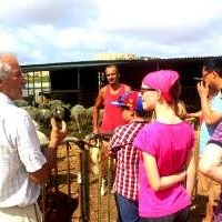 eco tours - farm visit